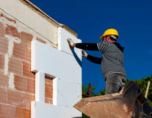 Best Insulation Maintenance and Repair in Edinburg, TX